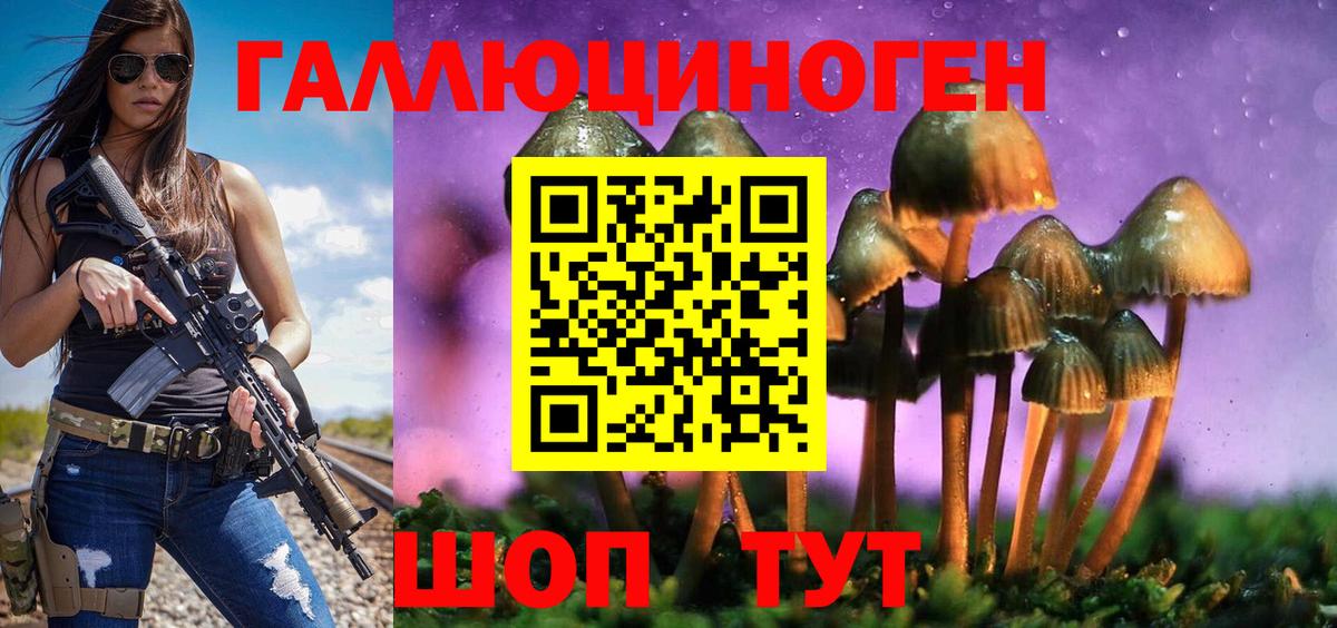 Псилоцибиновые грибы MAGIC MUSHROOMS  Вход с VPN  Псилоцибиновые грибы Psilocybine cubensis  Надым 