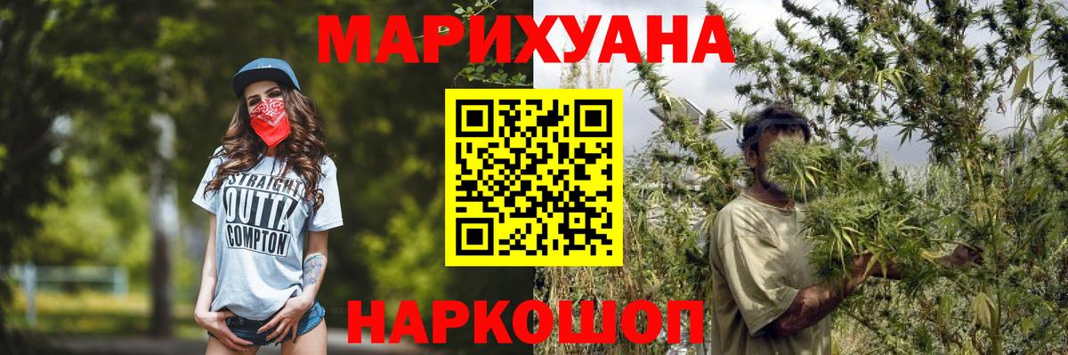 Бошки Шишки планчик Надым