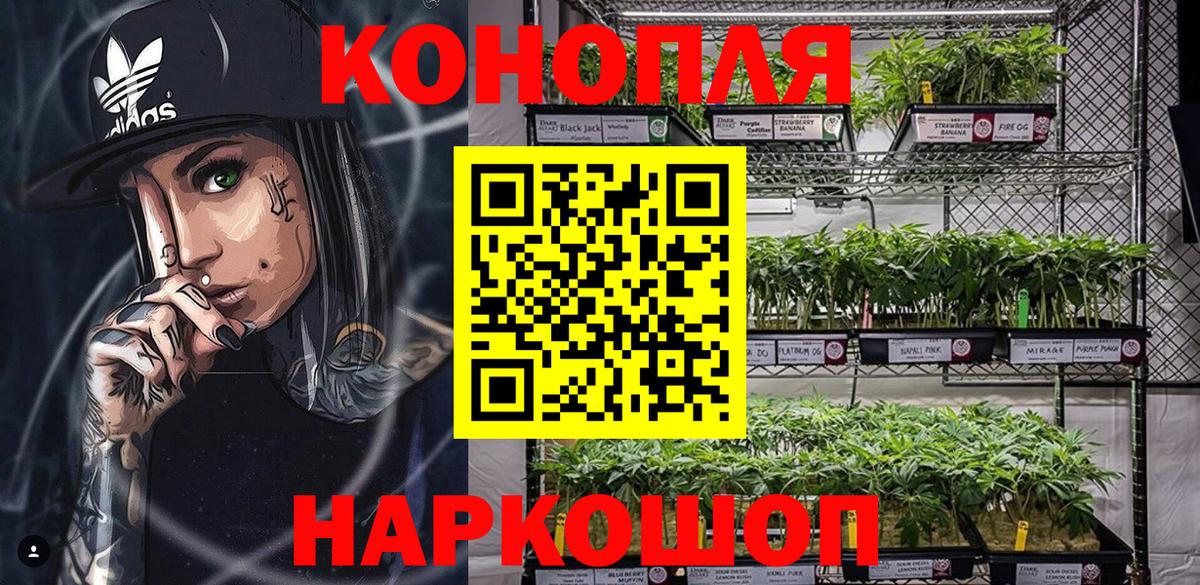 Марихуана план  Вход с VPN  МАРИХУАНА SATIVA & INDICA  Надым  Бошки марихуана индика 